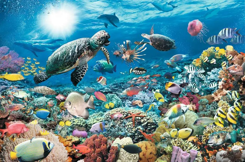 Ravensburger 5000Pc - Underwater Tranquility 2