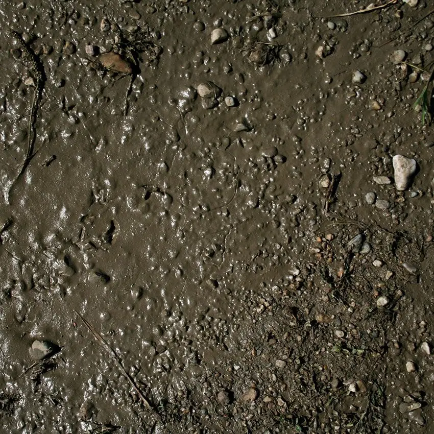 Ak Interactive Terrains Wet Ground - 250Ml (Acrylic) 1