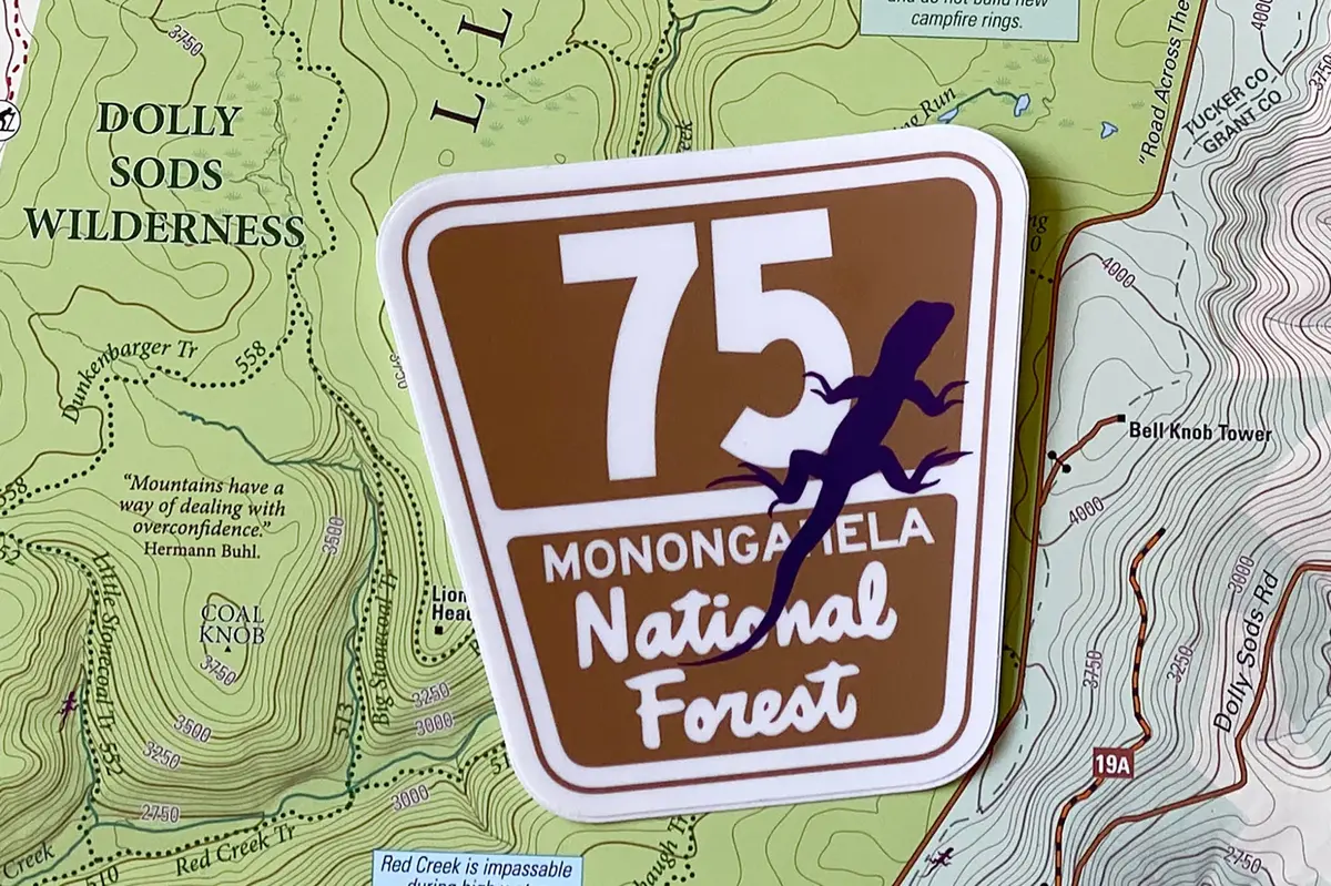 The 75 Lizard Sticker 1