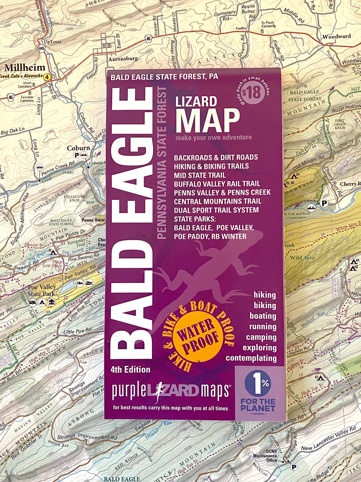 Bald Eagle Lizard Map, Pennsylvania 1
