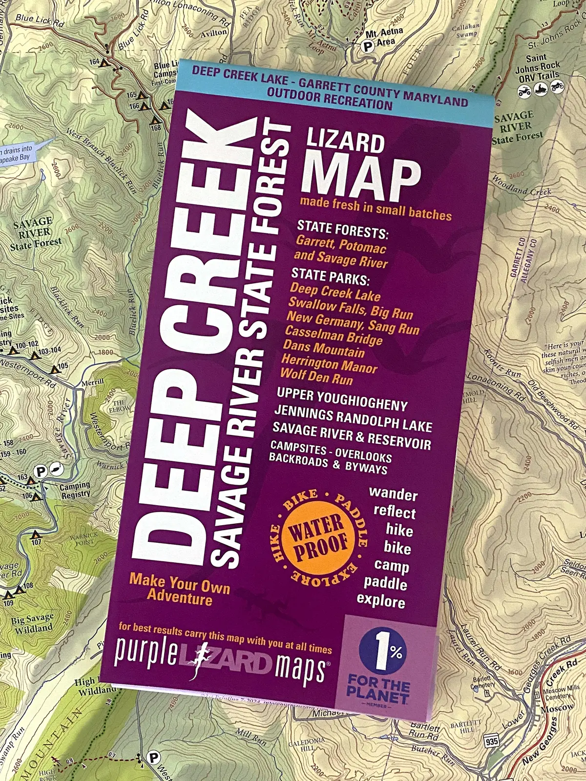 Deep Creek - Savage River State Forest: Maryland 1