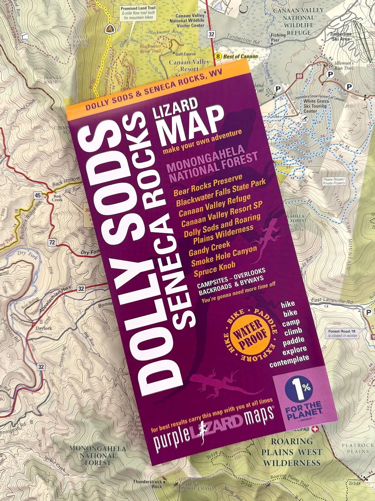Dolly Sods-Seneca Rocks Lizard Map: West Virginia 1