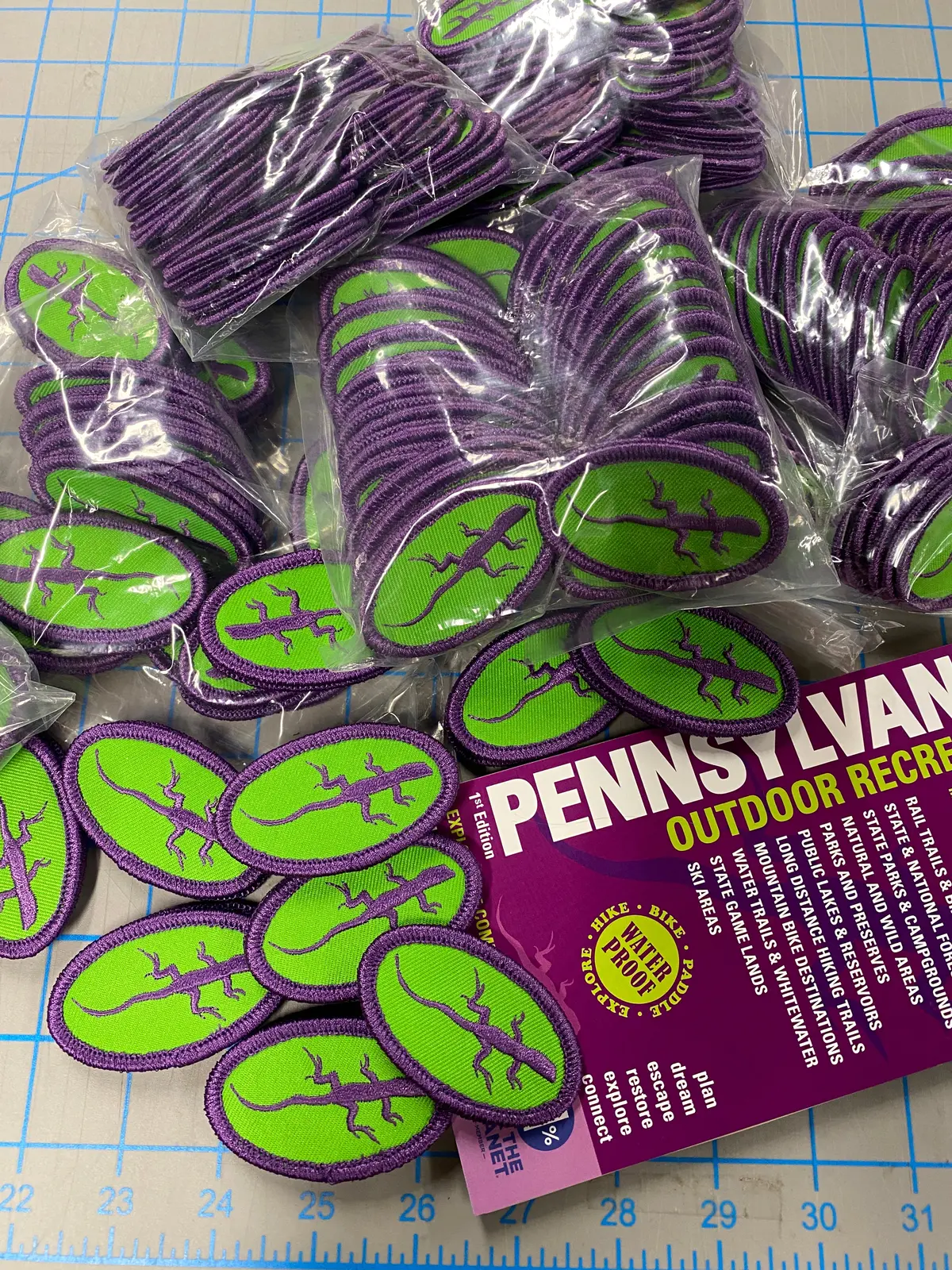 Purple Lizard Patches 1