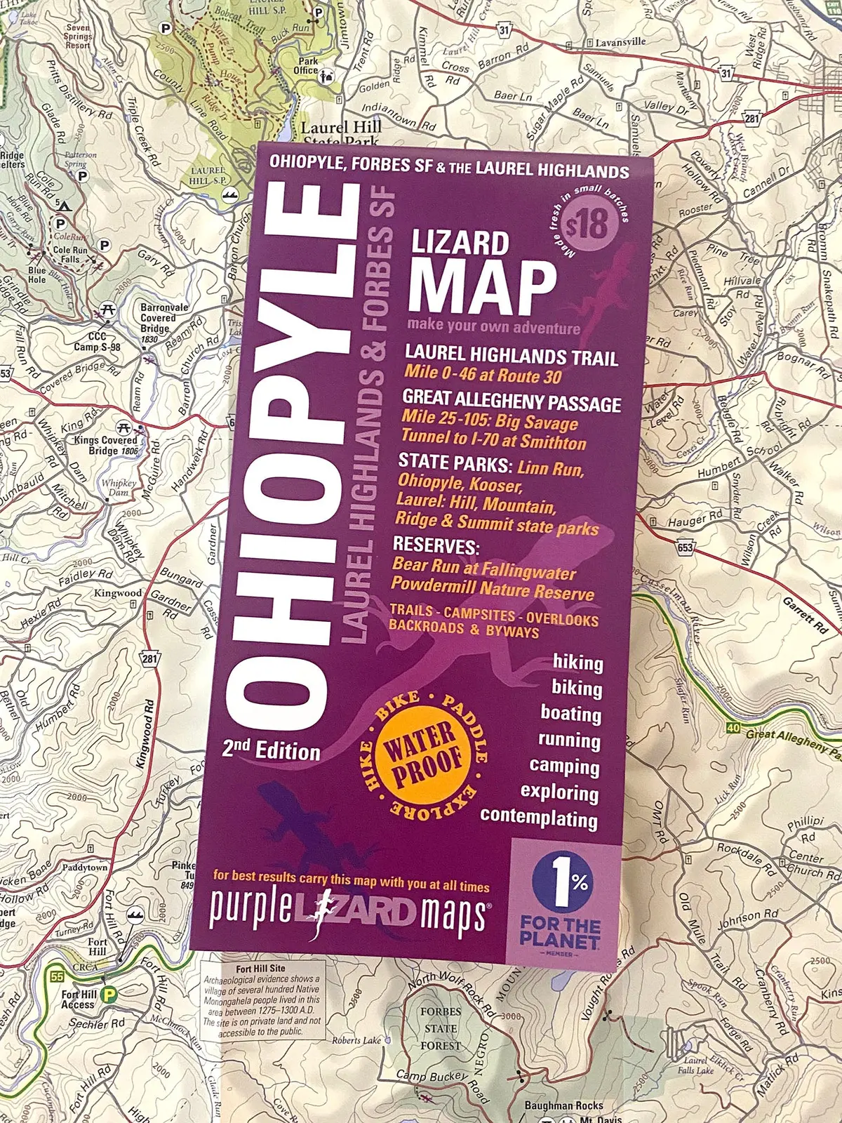 Ohiopyle-Laurel Highlands Lizard Map: Pennsylvania 1
