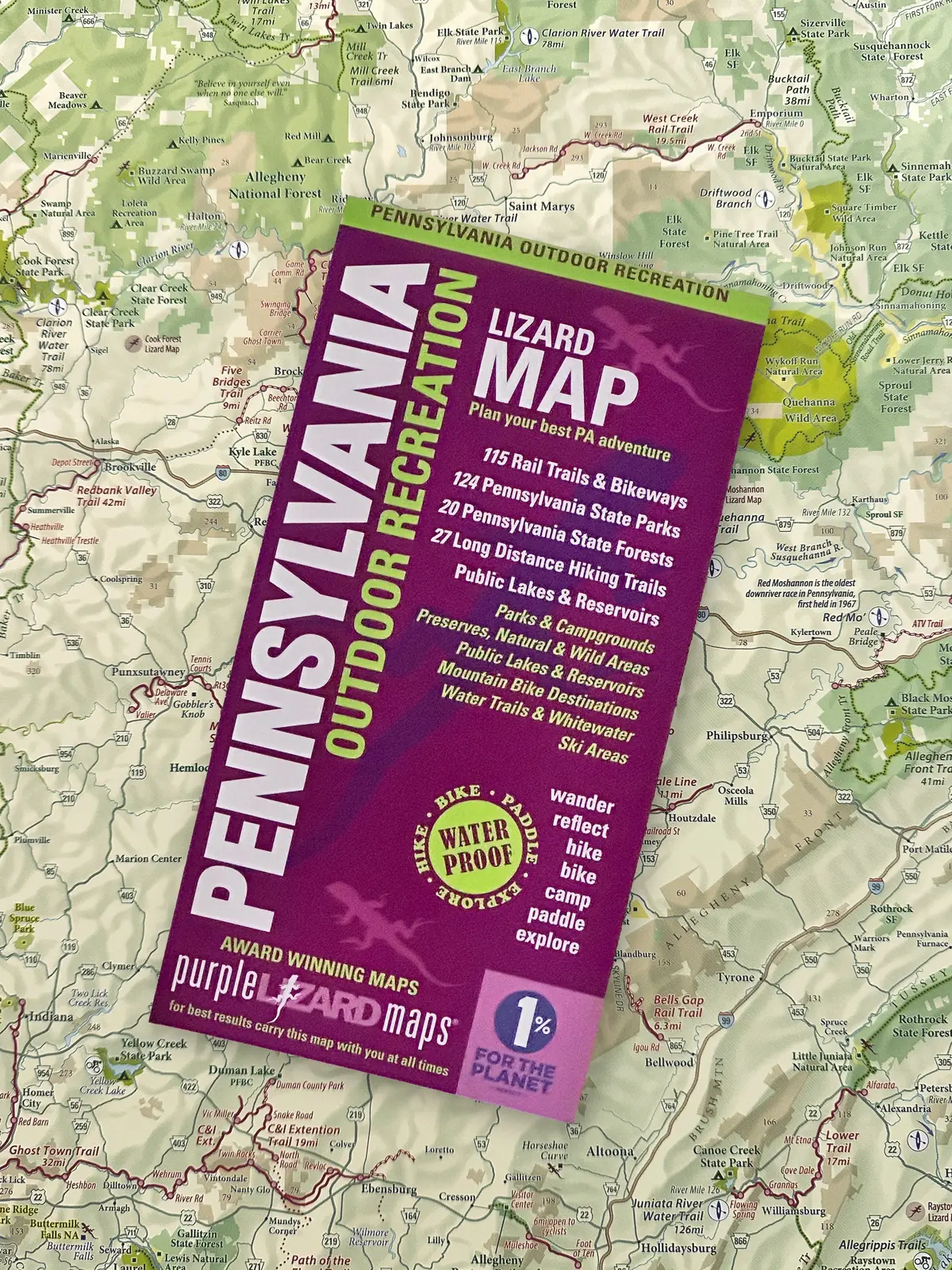 Pennsylvania Statewide Outdoor Recreation Lizard Map 1