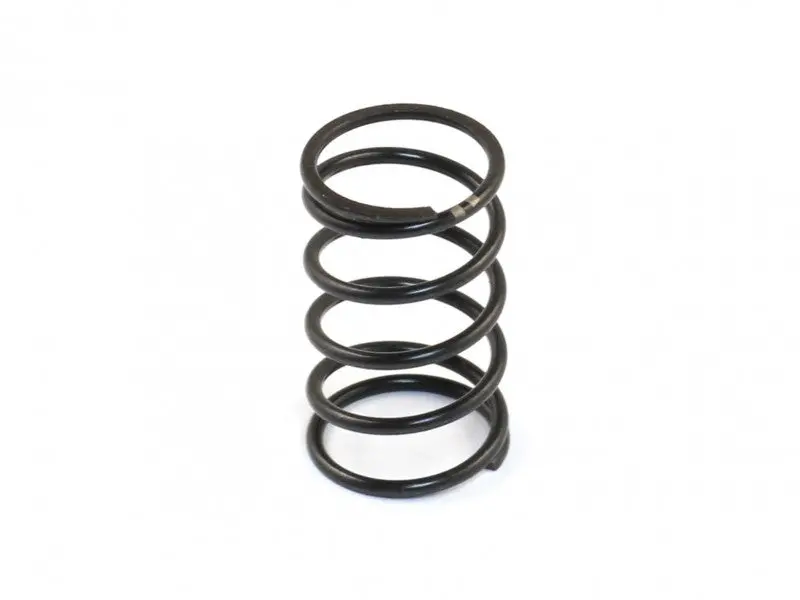 Center Damper Spring, Dvs-W, Medium 1