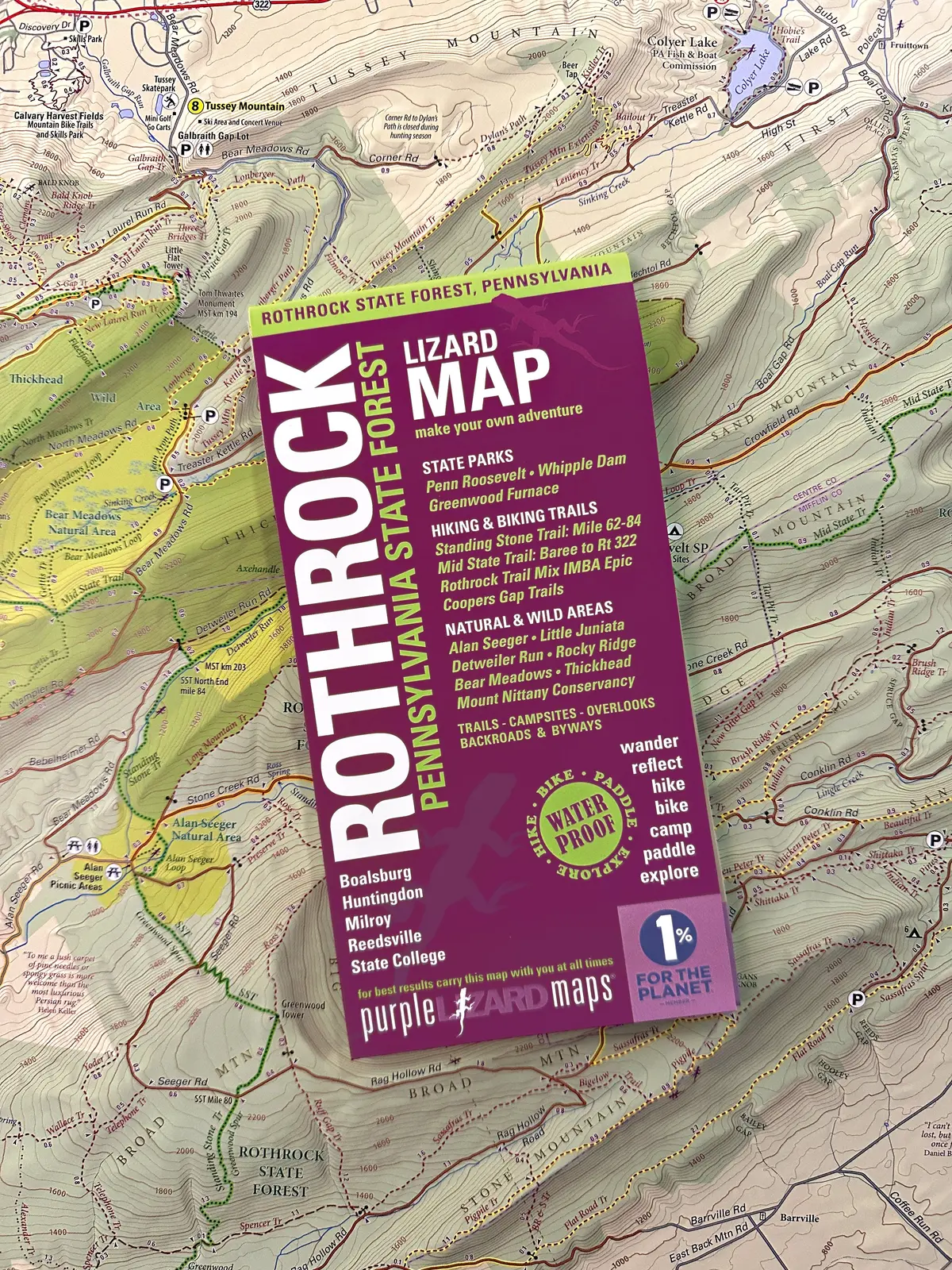Rothrock Lizard Map, Pennsylvania 1