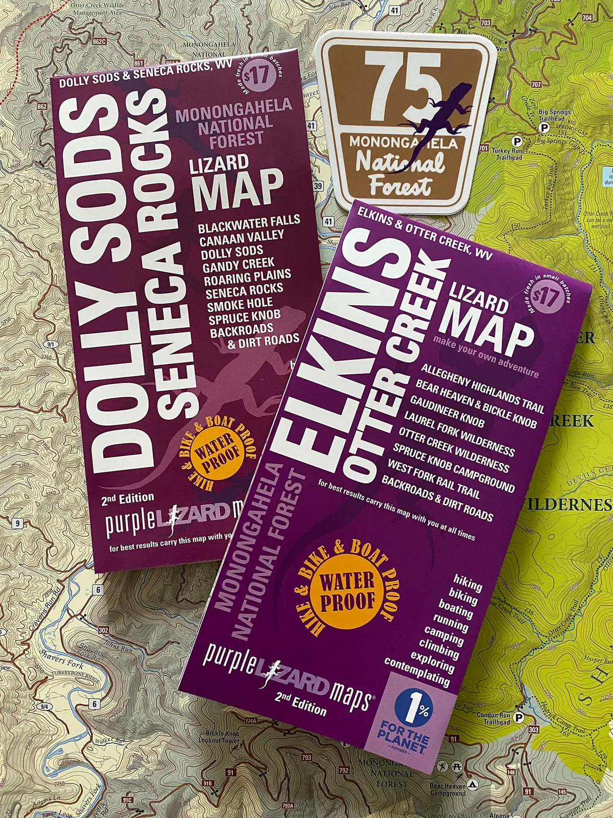 West Virginia Two-Pack: Dolly Sods, Elkins And A Lizard 75 Sticker! 1