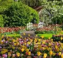 Ravensburger 1000Pc - Beautiful Gardens: Keukenhof Gardens Netherlands 1