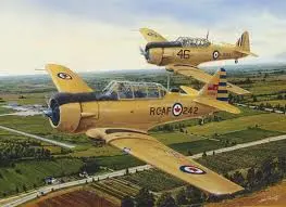 Harvards 1000Pc Puzzle 1