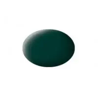 40 Aqua Color, Black Green, Matt, 18Ml 1