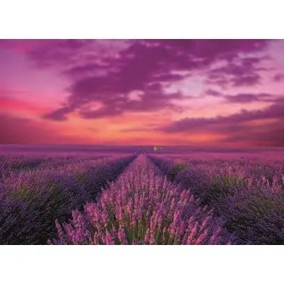 Clementoni 1000Pc - Lavender Field 1