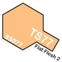 Ts-77 Flat Flesh Spray 100Ml 1