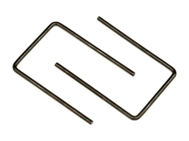 Lower Hinge Pin (2), Front / Rear, All Ion 1