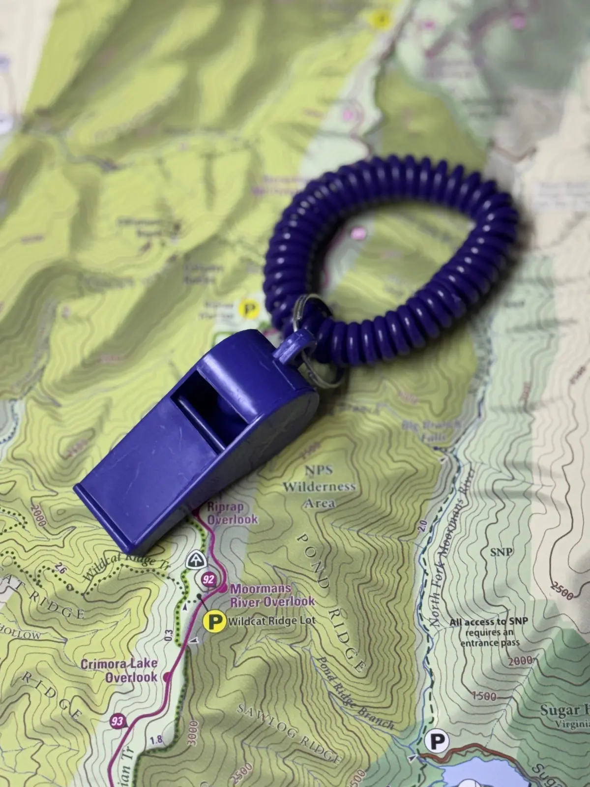 Lizard Safety Whistle 1