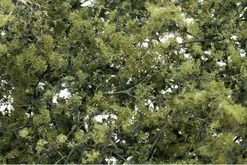 Woodland Scenics Fine Leaf Foliage Olive Green/75 Ci 1