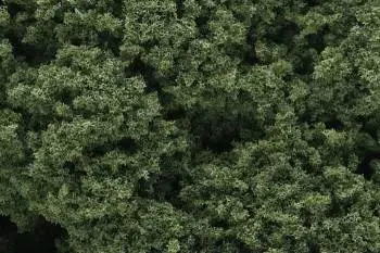 Woodland Scenics Foliage Cluster - Medium Green 1