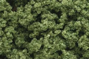 Woodland Scenics Clump-Foliage Bag Light Green/55 Ci 1