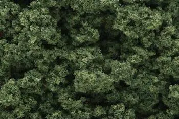 Woodland Scenics Clump-Foliage Bag Medium Green/55 Ci 1