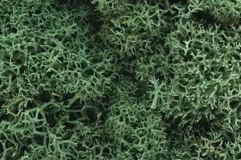 Woodland Scenics Lichen - Light Green (1.5Qt) 1