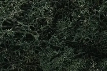 Woodland Scenics Lichen - Dark Green (1.5Qt) 1