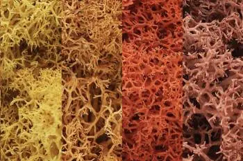 Woodland Scenics Lichen - Autumn Mix (1.5Qt) 1